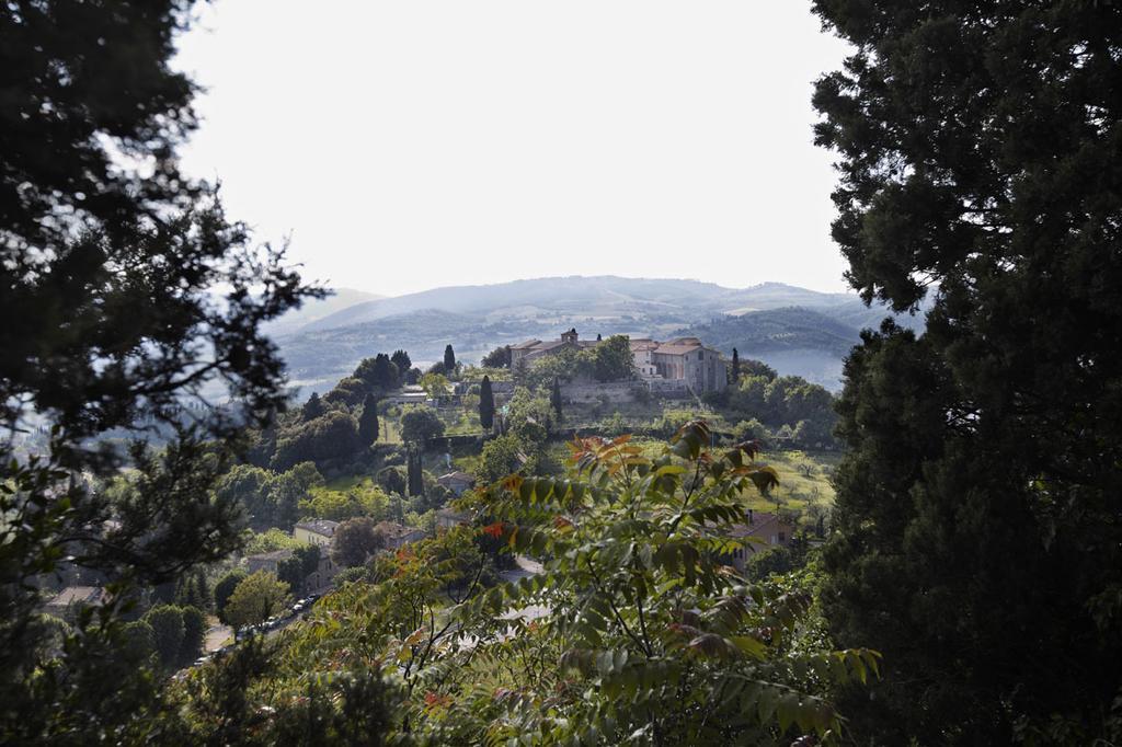 Il Ghiottone Umbro Bed & Breakfast Todi Room photo